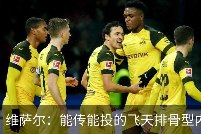 维萨尔：能传能投的飞天排骨型内线 需要大个子的球队不容错过
